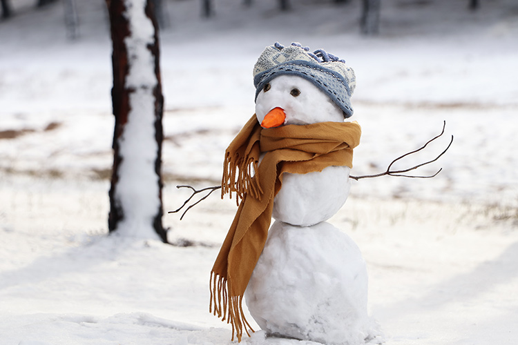 a snowman wearing a scarf and a beanie