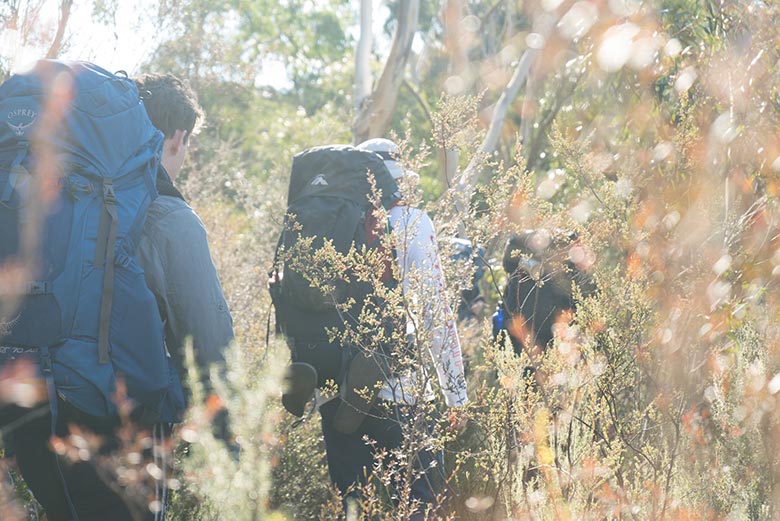 a man bushwalking