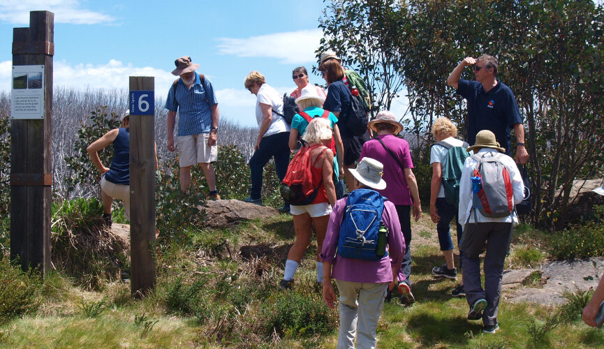 a group of people walking up the mountain outside during summer